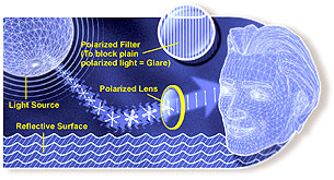 How a polarized lens works