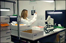 Statistical MILSTD 105E